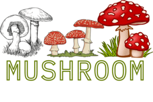mushroom farming
