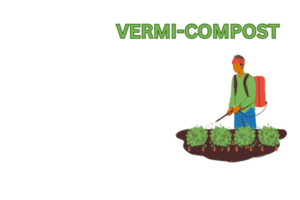 Vermicompost