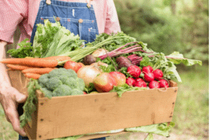Organic Farming